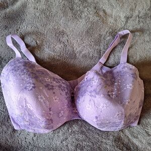 Cacique Layne Bryant Bra